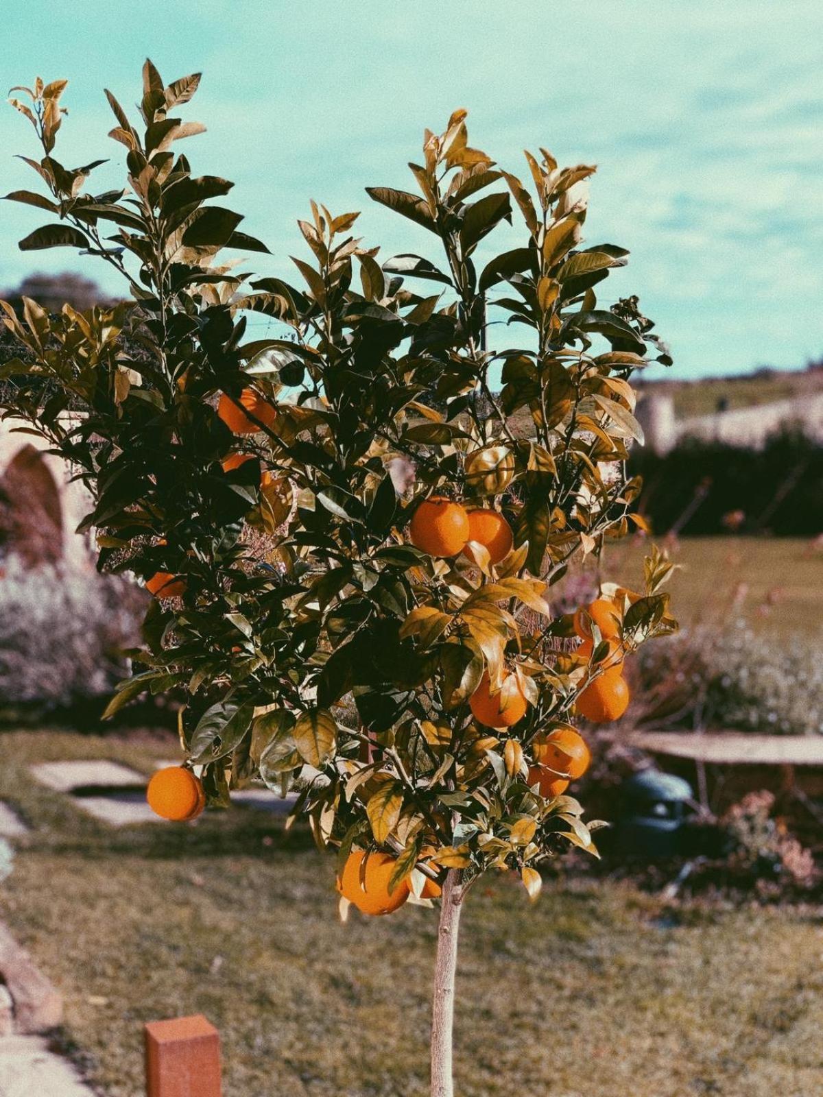 La Fuentona De Santillana ซันติยานาเดลมาร์ ภายนอก รูปภาพ